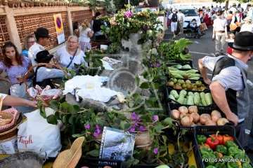  La romería de San Miguel Arcángel seduce a Telde (Foto Antonio Alí)